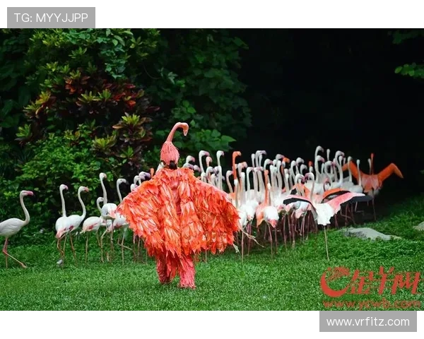 CBA与实况足球联动的粉丝创意集锦 CBA与实况足球联动的粉丝创意集锦